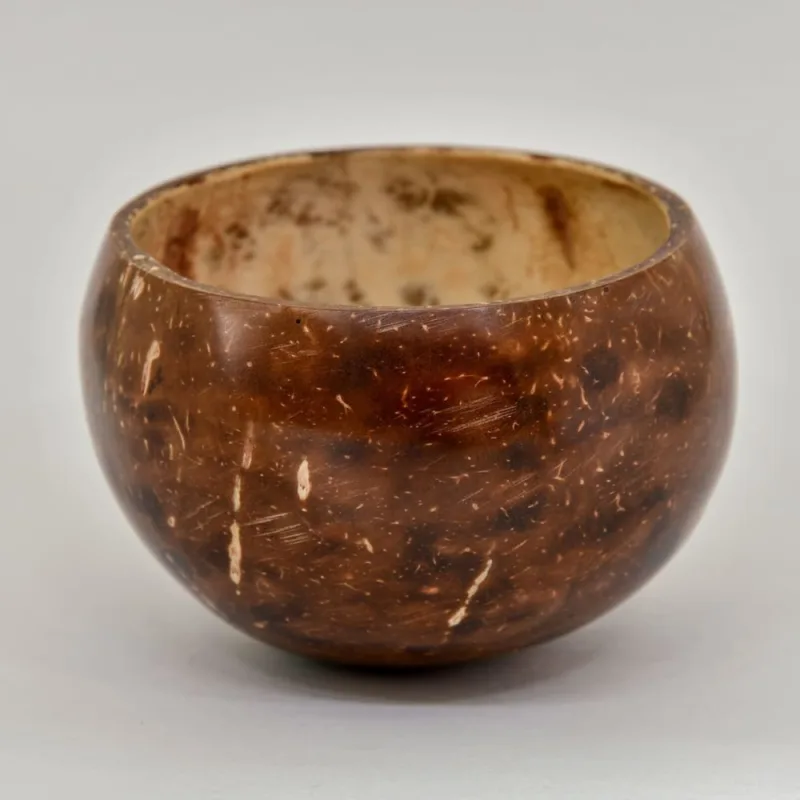 small-coconut-shell-bowl-with-spoon-kitchen-603